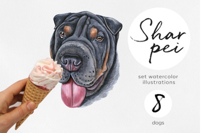 Shar Pei. Watercolor dogs illustrations. Cute 8 dogs