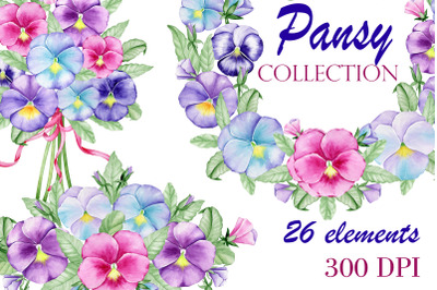 Pansies clipart. Watercolour Violas. Floral elements, digital, bouquet