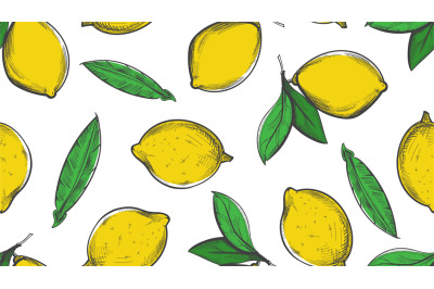 Citrus sketch pattern. Summer lemon background. Botanical vintage grun