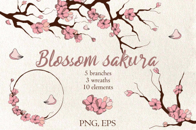 Blossom sakura branch and wreaths clipart. Pink flowers png. Floral.