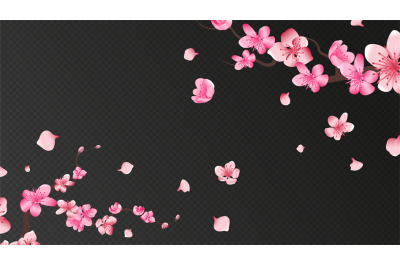 Sakura blossom. Falling petals, isolated flower elements. Flying reali