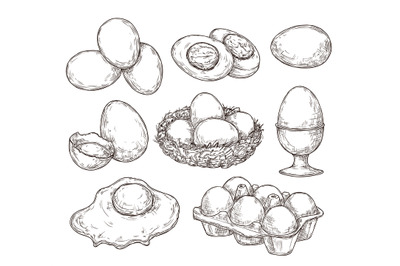 Eggs sketch. Vintage natural egg, broken shell. Hand drawn farming foo