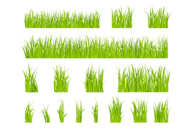 Green grass. Bio lawn pattern, herbal summer border. Isolated fields,