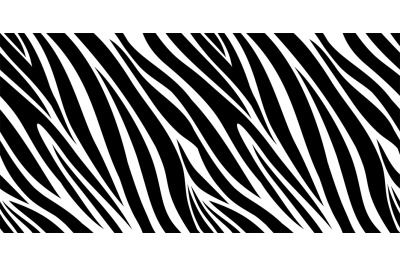 Zebra skin pattern. Animal print, black and white stripes background.