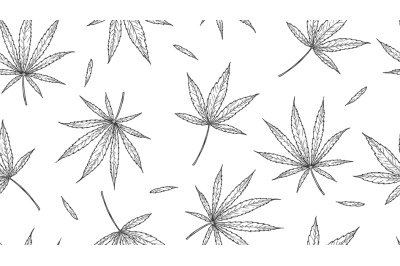 Cannabis pattern. marijuana leaves&2C; hand drawn hemp background. medica