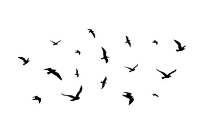 Flying flock of birds. Flight bird silhouettes&2C; isolated black doves o