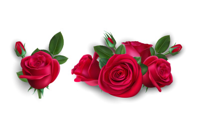 Realistic bouquet of roses. Isolated red rose with leaves. Wedding bou