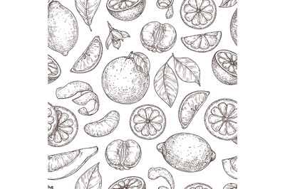 Citrus sketch pattern. Natural lemon orange leaves, lime fruits backgr