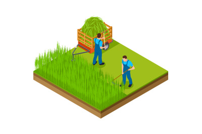 Hay season. Men mow grass, make area for garden. Isometric gardening,