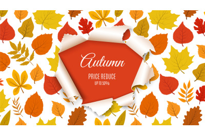 Autumn sale banner. Forest fall leaves with paper hole background. Sea
