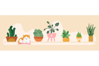 Home garden banner. Floral pots on shelf background. Cute cat sleep in