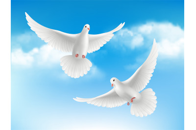 Bird in clouds. Flying white pigeons in blue sky peaceful religion con