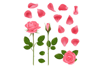 Pink roses. Buds and petals of beautiful romantic wedding plants roses