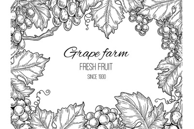 Grape frame. Vineyard vintage vector background with grapevine and lea