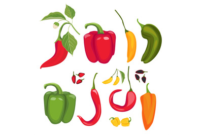 Peppers. Hot spices fresh jalapeno paprika cayenne vector cartoon red