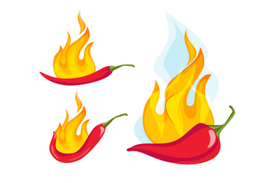 Hot red pepper. Exotic mexican cayenne pepper with fire flame fresh or