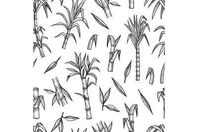 Sugar plant seamless pattern. Hand drawn sugarcane vector background.