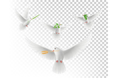 Realistic pigeons with branches. White flying doves isolated vector se