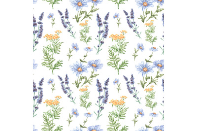 Wildflowers watercolor seamless pattern. Chamomile, tansy, lavender