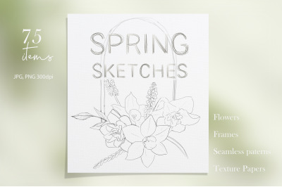 Pencil Sketches of Spring Flowers