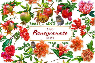 Pomegranate clipart, Food clipart, Fruit clipart, Winemaking clipart
