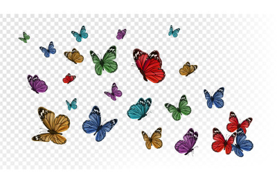 Flying butterflies. Colorful butterfly isolated on transparent backgro