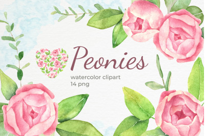 Peonies watercolor clipart. Pink modern floral clip art, blush flowers
