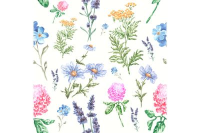 Meadow flowers watercolor seamless pattern. Wildflowers. Summer