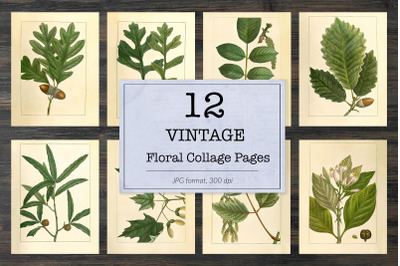 Vintage tree leaves