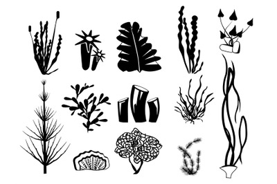 Seaweed silhouettes. Underwater river plants algae ocean botanical wil