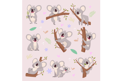 Koala characters. Wild bear australia cartoon furry animals vector ill