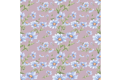 Chamomile watercolor seamless pattern. Wildflowers. Meadow flowers