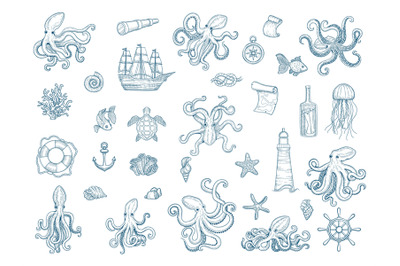 Marine illustrations. Octopus nautical set wild squid shells monster k