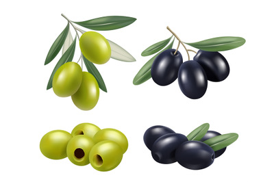 Olive realistic. Greek nature food olive branches relax spa oil vector