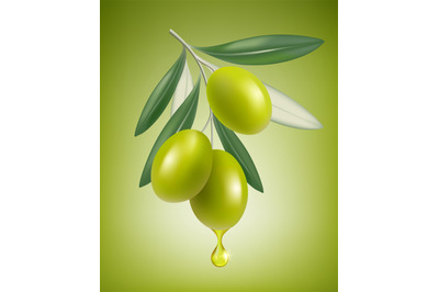 Olive drop. Natural branch with splashes of transparent oil vector clo