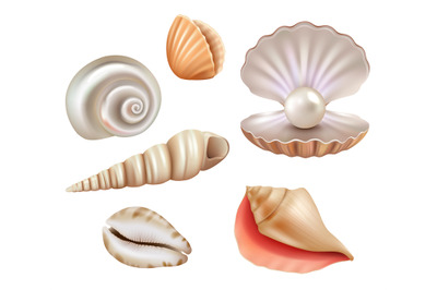 Open seashells. Luxury pearls and marine objects from sea or ocean vec