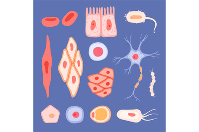 Human cells. Biological structure of blood scenes collection lymphocyt