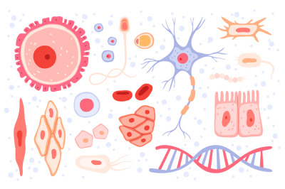 Cells collection. Human blood structure micro types of anatomy science