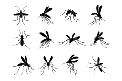 Mosquito. Flying insects carriers of viruses bloodsuckers vector drawn