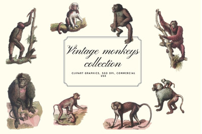 Vintage monkeys clip art graphics, Monkey graphics