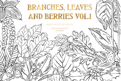 Branches, Leaves and Berries Illustrations Vol.1