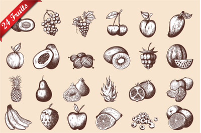 24 Fruits Hand Drawn Sketch