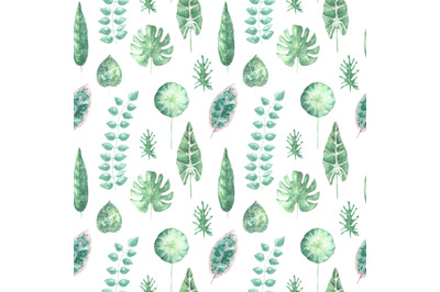 Southern plants watercolor seamless pattern. Tropical plants. Green