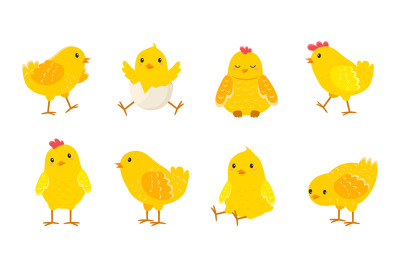 Cartoon Easter chicks. Baby farm birds with yellow feathers. Cheerful