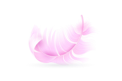 Pink feather. Exotic bird&2C; flamingo or parrot realistic flying fluff&2C;