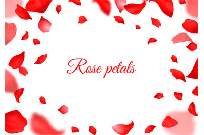 Falling red rose petals. Realistic flying petal, botanical frame for v