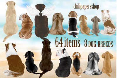 Dog Breeds Clipart,Dogs clip art,Pets Illustrations,Puppies