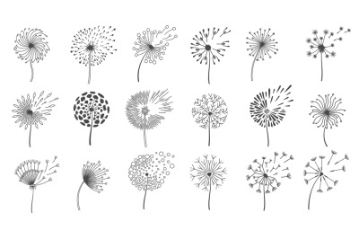 Blowing dandelion seeds. Silhouettes of fluffy wish flowers&2C; spring bl