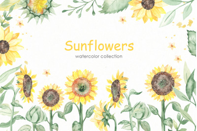 Sunflowers watercolor collection