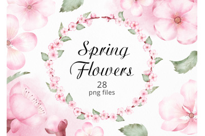 Watercolor Spring Flowers Collection